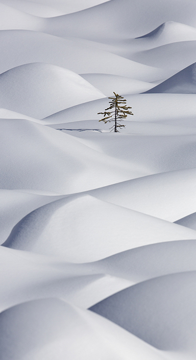 long8-龙8(国际)唯一官方网站